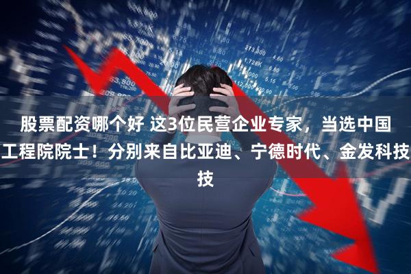 股票配资哪个好 这3位民营企业专家，当选中国工程院院士！分别来自比亚迪、宁德时代、金发科技