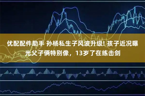 优配配件助手 孙杨私生子风波升级! 孩子近况曝光父子俩特别像，13岁了在练击剑